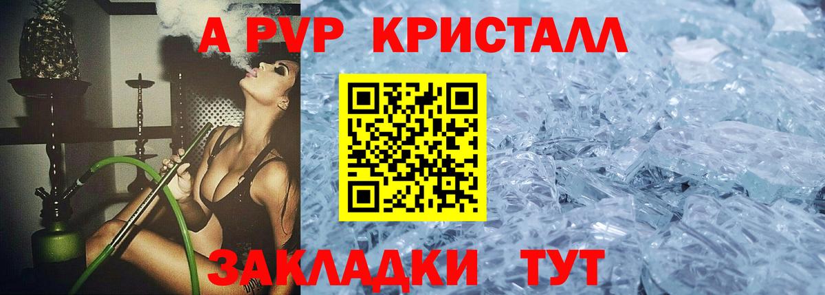 A PVP СК КРИС Кинель