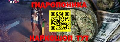 шишки Изобильный