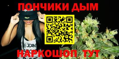 шишки Изобильный