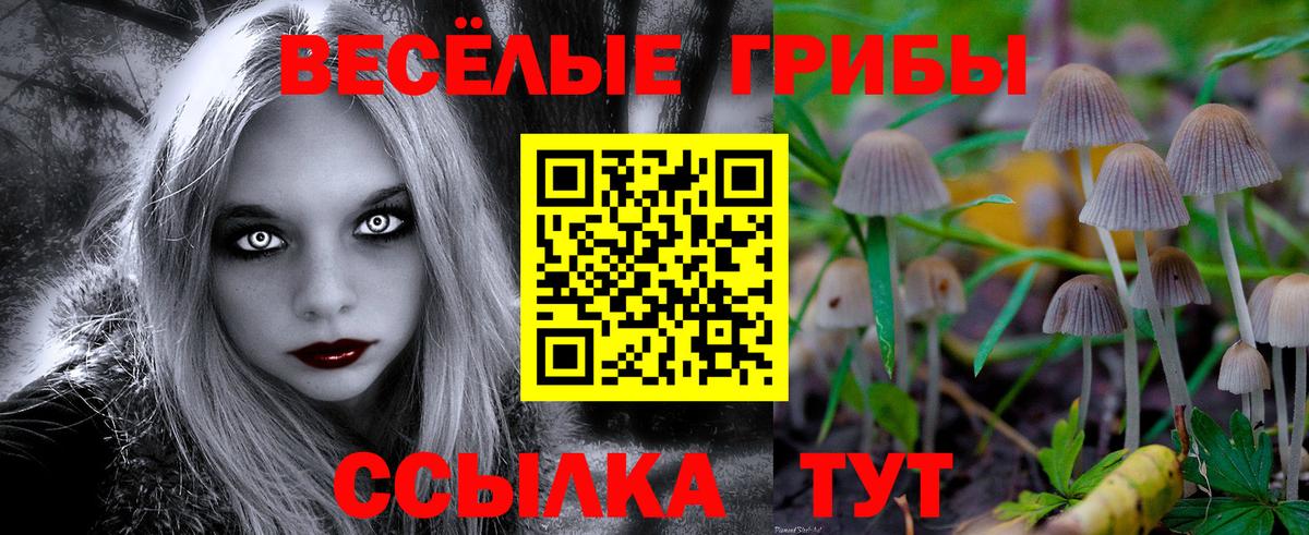 закладки  Галлюциногенные грибы Magic Shrooms  Вход с VPN  Галлюциногенные грибы Magic Shrooms  Кинель 