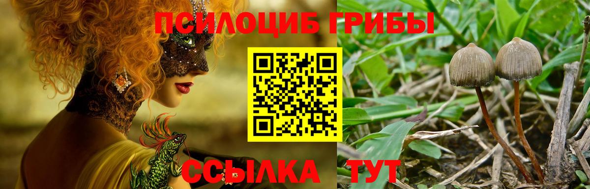 Псилоцибиновые грибы Magic Shrooms Кинель
