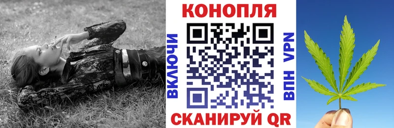 Конопля сатива Кинель